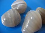 Calc�doine  bleue